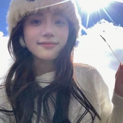 动物宝宝